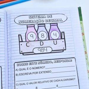Caixinha Sistema de Numeração Decimal.