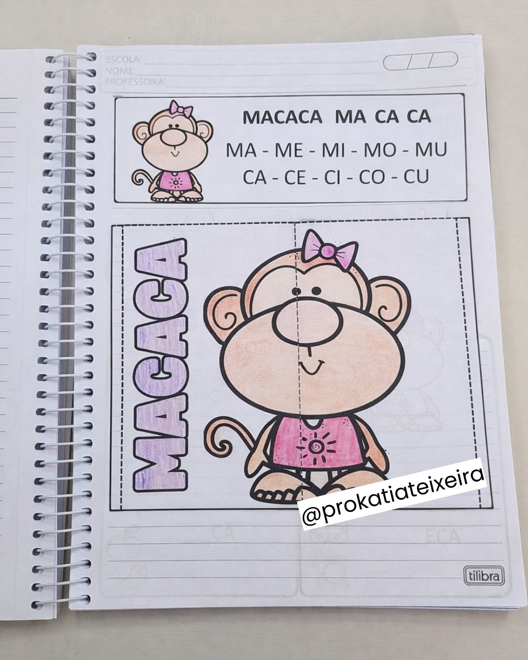 Textos Interativos com Atividades de Alfabetização – A a Z